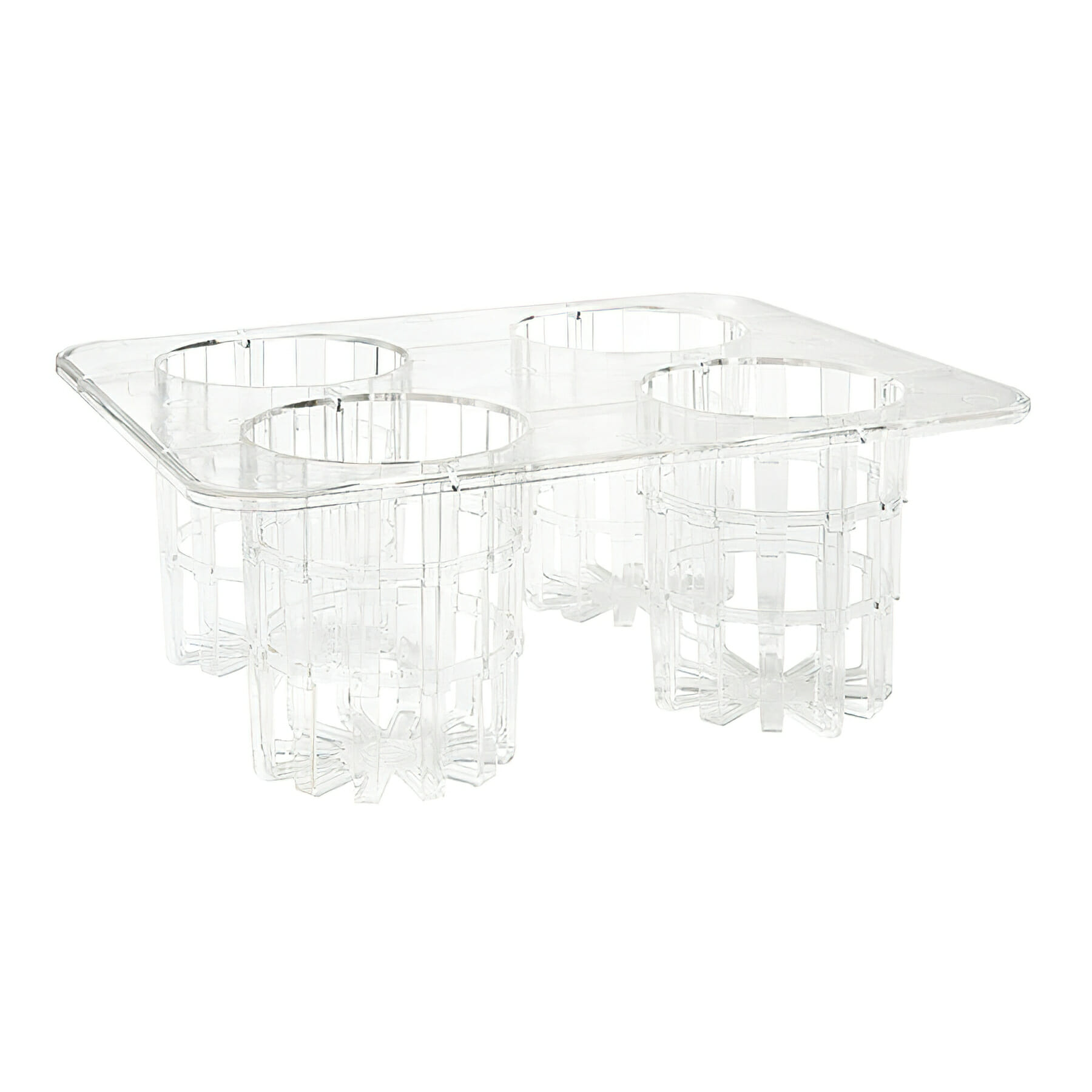 Rack w/4 Slots for Salad Dressing Bottles (13" x 10.25" x 5"), Clear